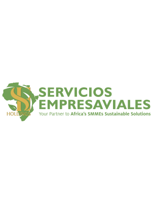 Mpumi Maesela, Servicios Empresaviales Holdings (pty) Ltd